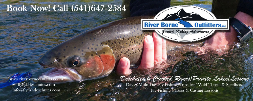 Deschutes River Steelhead Guides | River Borne Outfitters